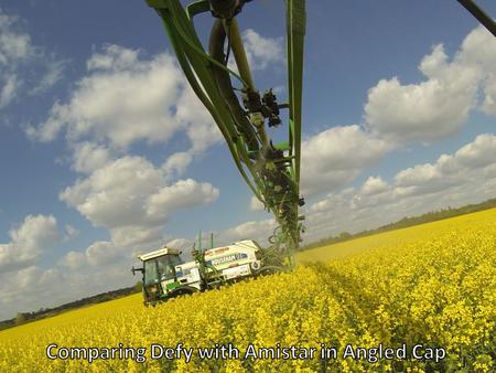 Comparing Defy with Amistar in Angled Cap Autumn Pre-Em’s Flowering OSR Wheat - T0 through to T3 Unfortunately no trials taken to yield so all visual.