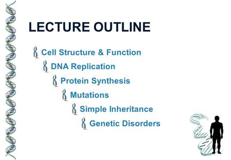 LECTURE OUTLINE Cell Structure & Function DNA Replication Protein Synthesis Mutations Simple Inheritance Genetic Disorders.