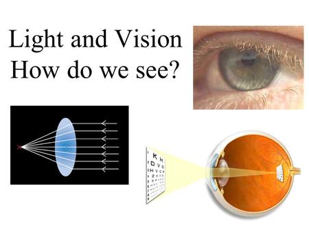 Light and Vision How do we see?. The Electromagnetic Spectrum.