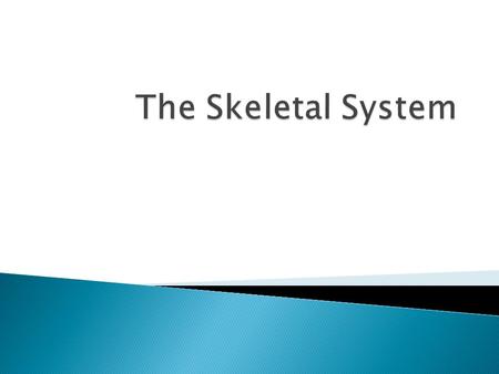  How many bones do you think our body has?  Bones are the framework of our body and without them our body would be like pudding!