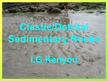 Clastic/Detrital Sedimentary Rocks