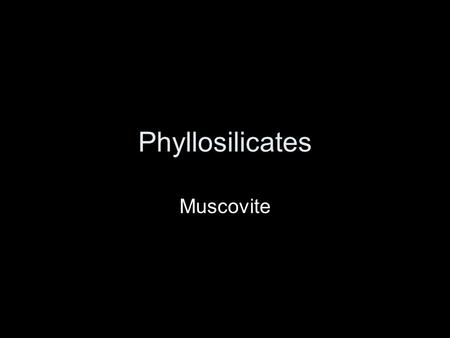 Phyllosilicates Muscovite. Muscovite (PPL) Muscovite (X-nic)