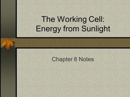 The Working Cell: Energy from Sunlight