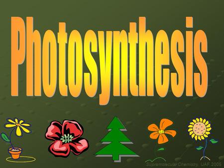 Supramolecular Chemistry, UAF, 2005. Photosynthesis Where does the energy come from that sustains all life? The Sun!! Well most of it anyway……