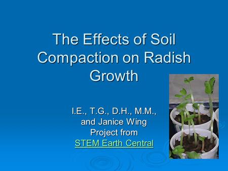 The Effects of Soil Compaction on Radish Growth I.E., T.G., D.H., M.M., and Janice Wing Project from STEM Earth Central STEM Earth Central.