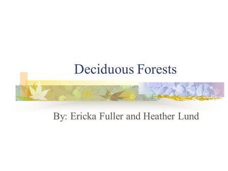 Deciduous Forests By: Ericka Fuller and Heather Lund.