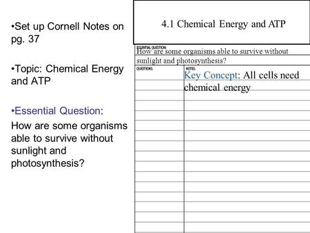 4.1 Chemical Energy and ATP