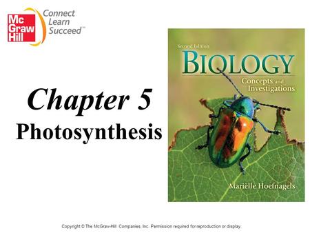 Chapter 5 Photosynthesis