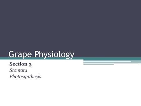 Grape Physiology Section 3 Stomata Photosynthesis.