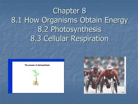 Chapter How Organisms Obtain Energy 8. 2 Photosynthesis 8