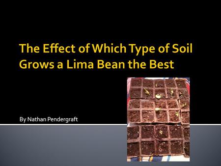 By Nathan Pendergraft.  The experiment was comparing the soils to see which bean plant would grow the best in quantity or size.  The soils were top.