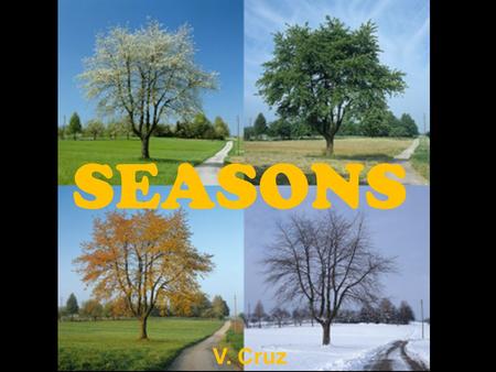 SEASONS V. Cruz.