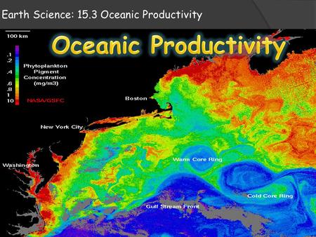 Earth Science: 15.3 Oceanic Productivity