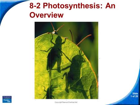 Slide 1 of 28 Copyright Pearson Prentice Hall 8-2 Photosynthesis: An Overview.