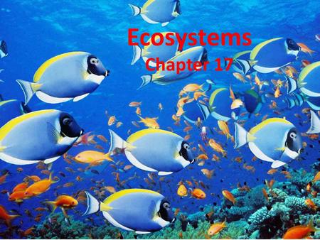 Ecosystems Chapter 17.