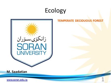 Ecology TEMPERATE DECIDUOUS FOREST M. Saadatian.