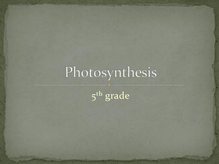 5 th grade. The process where plants make their own food Plants are autotrophic Auto = by itself (think automatic) Trophic = feeding Uses sunlight, carbon.