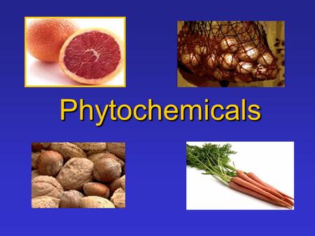 PhytochemicalsPhytochemicals.  Phyto = Plants  Phytochemical= Components in plants that may provide health benefits What Does Phytochemical Mean ?