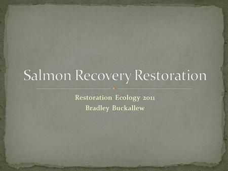 Restoration Ecology 2011 Bradley Buckallew. Anadromous Born and spend juvenile life in freshwater Venture out into ocean to spend their adult lives Return.