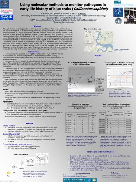 Introduction Callinectes sapidus, blue crab, is an important fishery commodity in North America. It is economically and ecologically significant. In recent.