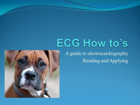 A guide to electrocardiography Reading and Applying