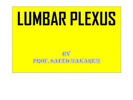 LUMBAR PLEXUS BY PROF. Saeed Makarem