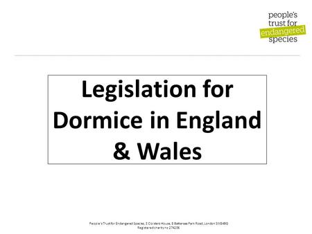 People’s Trust for Endangered Species, 3 Cloisters House, 8 Battersea Park Road, London SW84BG Registered charity no 274206 Legislation for Dormice in.