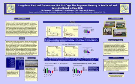 Long-Term Enriched Environment But Not Cage Size Improves Memory in Adulthood and Late Adulthood in Male Rats I.C. Sumaya, J.H. Calderon, V. Rodriguez,