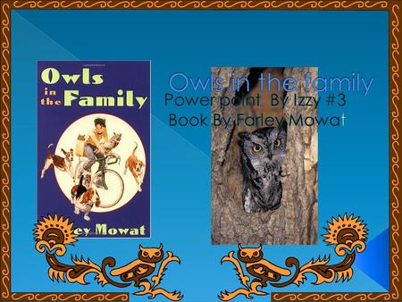 The two boys Billy and Bruce are out on a hot summer day searching for a baby pet owl of their own. Then a crow keeps crowing and crowing on a wooden.