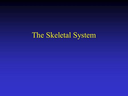 The Skeletal System.