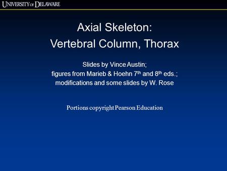 Vertebral Column, Thorax