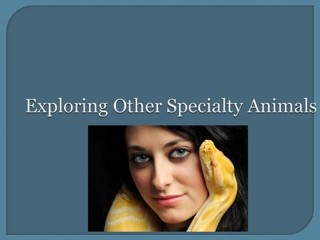 Exploring Other Specialty Animals.  HS ‐ LS2 ‐ 8. Evaluate the evidence for the role of group behavior on individual and species’ chances to survive.