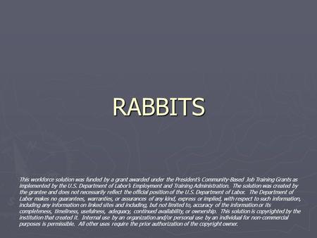 RABBITS This workforce solution was funded by a grant awarded under the President’s Community-Based Job Training Grants as implemented by the U.S. Department.