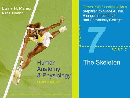 Copyright © 2006 Pearson Education, Inc., publishing as Benjamin Cummings Human Anatomy & Physiology SEVENTH EDITION Elaine N. Marieb Katja Hoehn PowerPoint.