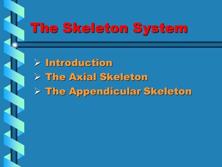 The Skeleton System  Introduction  The Axial Skeleton  The Appendicular Skeleton.