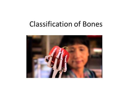 Classification of Bones