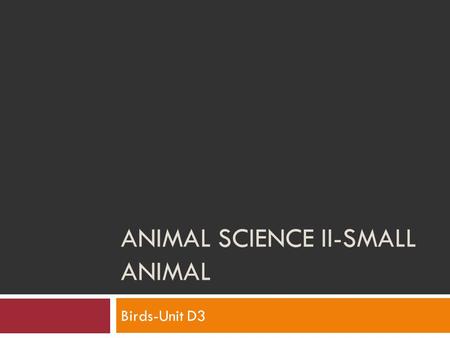 Animal Science II-Small Animal