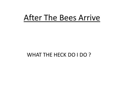 After The Bees Arrive WHAT THE HECK DO I DO ?. 4 WAYS TO GET THE BEES 1. BUY PACKAGED BEES 2. BUY THE WHOLE COLONY FROM A BEEKEEPER 3. CATCH A SWARM 4.