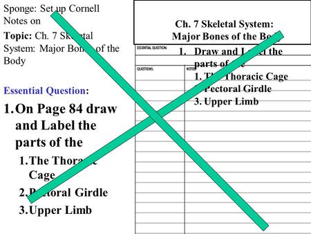 On Page 84 draw and Label the parts of the