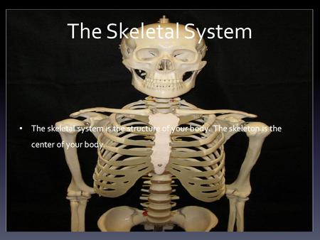 The Skeletal System The skeletal system is the structure of your body. The skeleton is the center of your body.