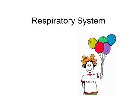 Respiratory System. Inhaling and Exhaling Inhaling and Exhaling Video Clip from AdamInhaling and Exhaling Video Clip from Adam.