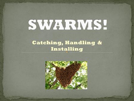 Catching, Handling & Installing. Mid February – Mid October 2014 First call Feb 14 – Last Oct 17th 2015 First call Feb 19 - ? Most calls are in April.