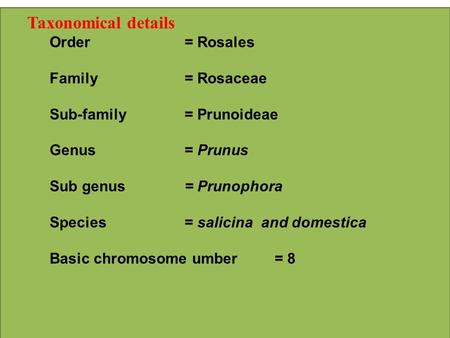 Taxonomical details Order= Rosales Family= Rosaceae Sub-family= Prunoideae Genus= Prunus Sub genus= Prunophora Species= salicina and domestica Basic chromosome.