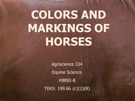 COLORS AND MARKINGS OF HORSES Agriscience 334 Equine Science #8892-B TEKS: 199.66 (c)(2)(B)