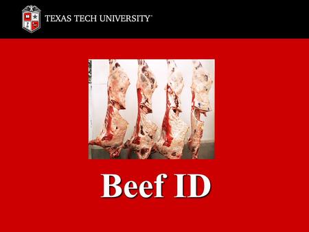 Beef ID. Chuck Rib Loin Round Flank Plate Brisket Shank Various Variety.