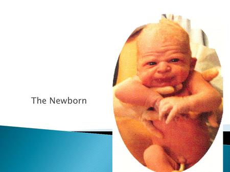 The Newborn.