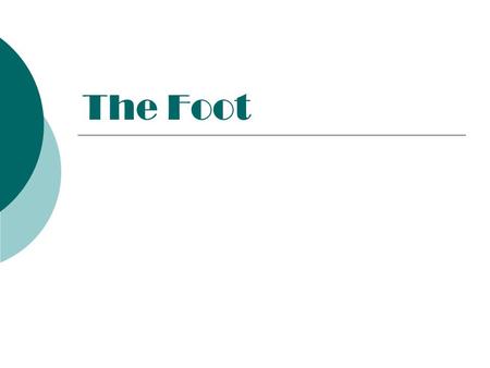 The Foot. The Views  AP  Oblique  Lateral Things to know  Cassette size:  10x12 lengthwise divided in half and 8 x 10  Shield  Marker  Hold still.