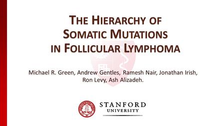 The Hierarchy of Somatic Mutations in Follicular Lymphoma