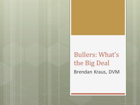 Bullers: What’s the Big Deal Brendan Kraus, DVM. What is Bulling?  Buller steer syndrome is a behavioral problem among feedlot cattle that is characterized.