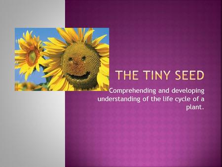 Comprehending and developing understanding of the life cycle of a plant.